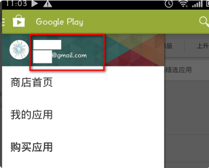 google play store