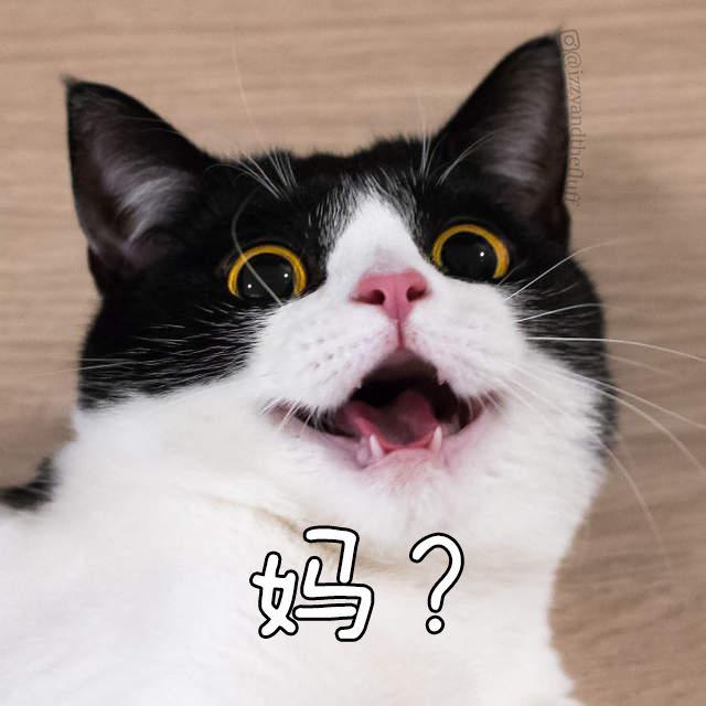 www.instagram.com